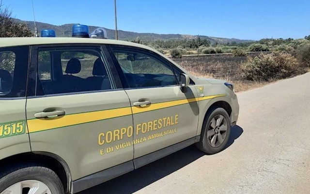 Corpo Forestale Regione Sardegna